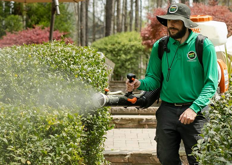 Mosquito Joe technician spraying bushes.