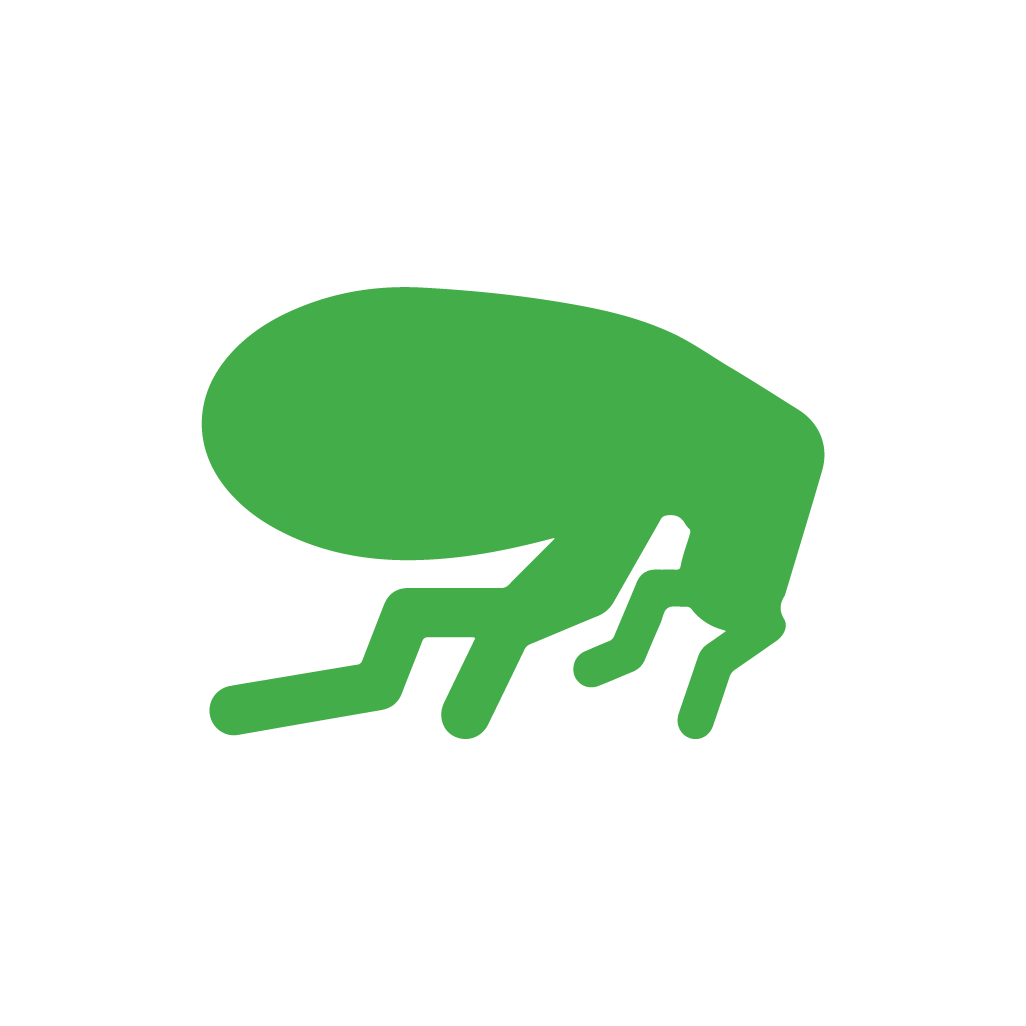 Green Flea Icon