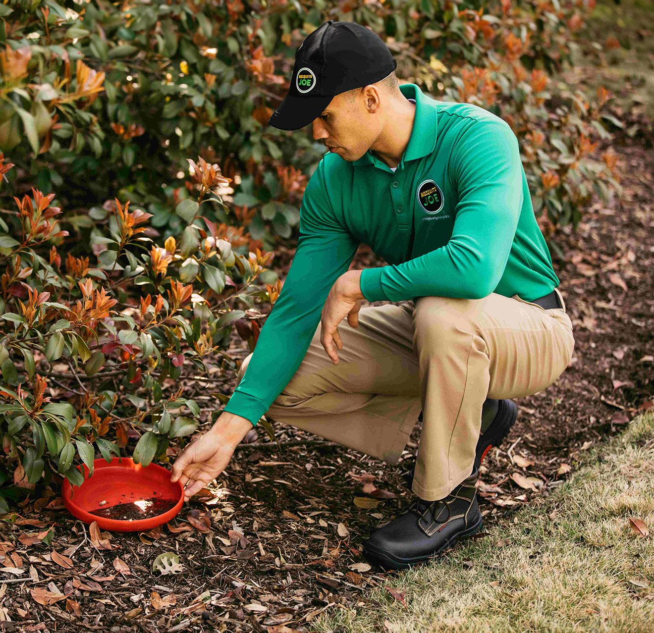 A Mosquito Joe employee checking the condensation of a plant.