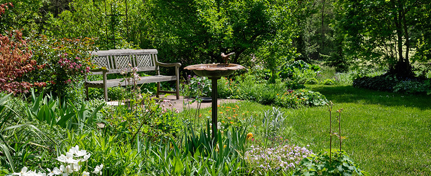 Clean A Bird Bath