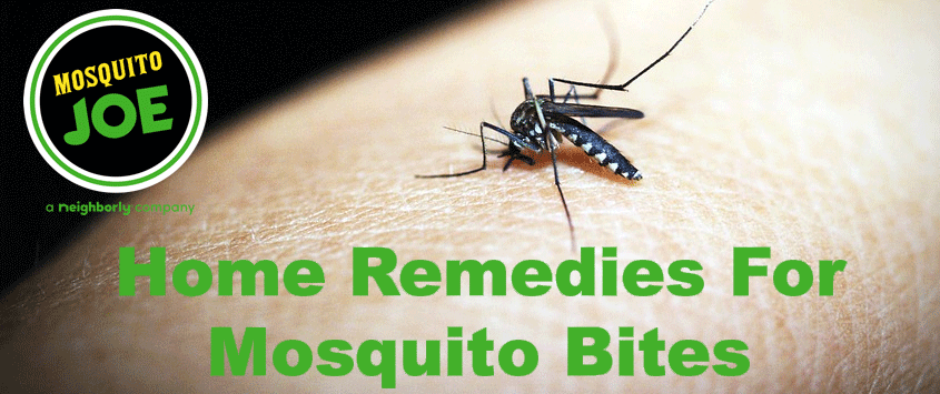 homeremediesformosquitobite