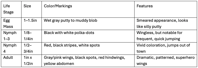 Spotted Lanternfly chart