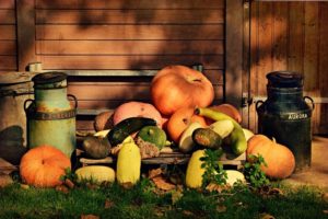 pumpkins and squashes